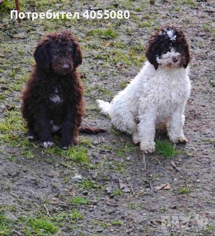 Лагото Романьоло , снимка 2 - Други - 52819134