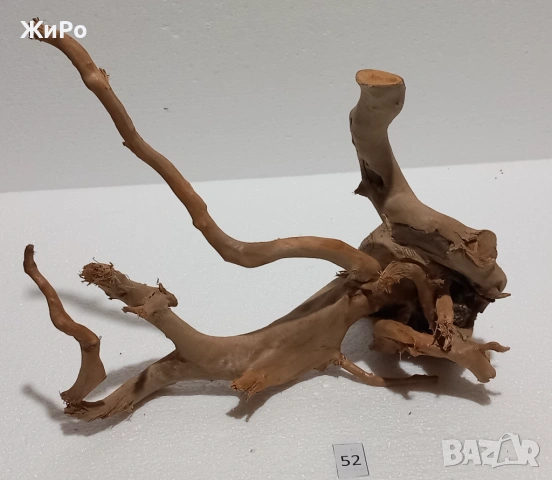 Корен от Азалия /декорация/ 52, снимка 2 - Други - 54102205