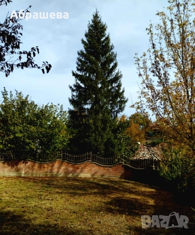 Имот от собственик , снимка 11 - Къщи - 51961370