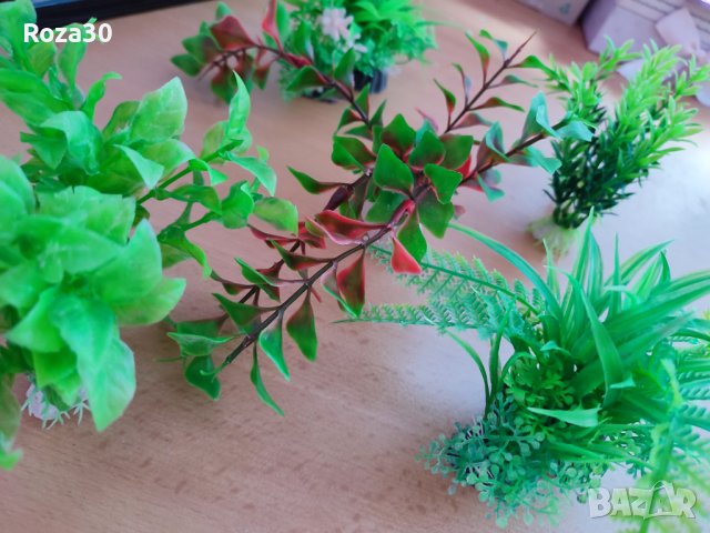 зелени растения за аквариум