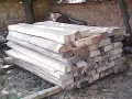 Липа суха трупи/талпи, снимка 11