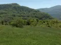 продавам два имота в село Лакатник , снимка 15