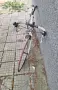 Колело Drag Blade, снимка 2