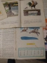 Девет прекрасни, илюстровани цветно детски книжки световни,1960,1958, запазени , снимка 9