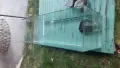 водна костенурка, снимка 2