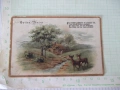 Картичка "Gottes Natur" цветна стара, снимка 1