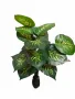 Изкуствено декоративно растение с шарени зелени листа ,1 метър, снимка 3