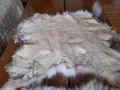 Заешка кожа,кожи, снимка 6