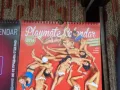 Календари и дискове от списание Playboy., снимка 3