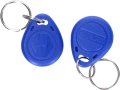 Комплект 100 бр. RFID ключодържатели 125KHz EM4100, снимка 2