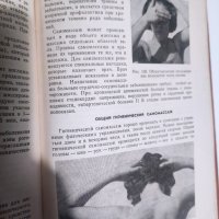 Книга за масаж, снимка 2 - Специализирана литература - 42700164
