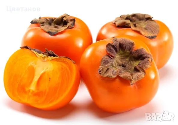 Райска ябълка Рохо Брилянте, снимка 1