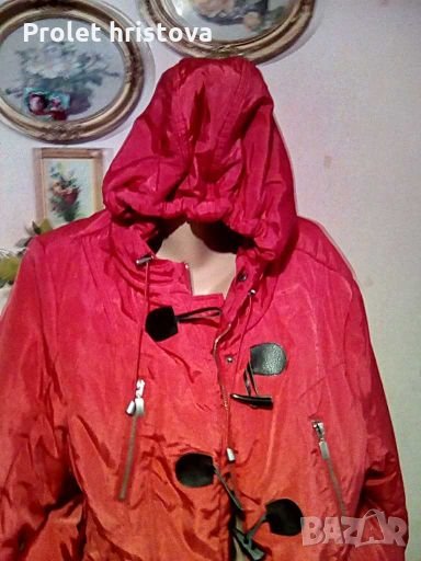Плътно и топло яке,с качулка, снимка 1