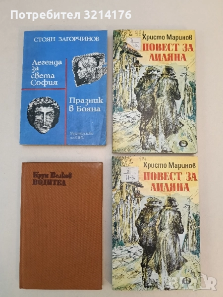 Водител - Крум Велков, снимка 1