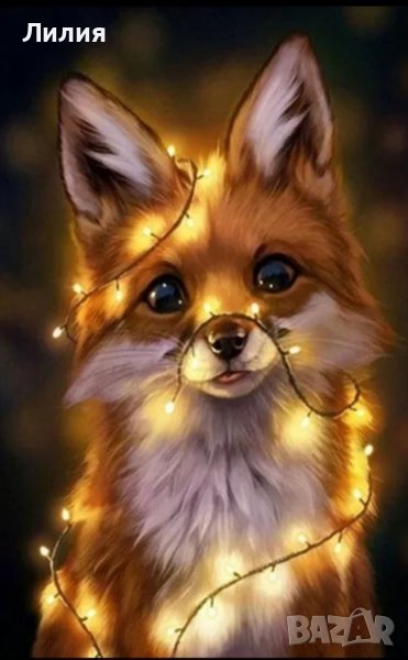 5Д Диамантен гоблен, снимка 1