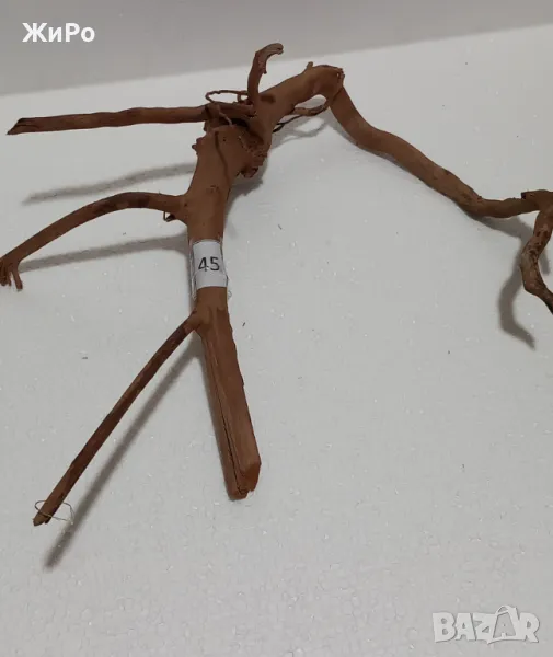 Корен от Азалия /декорация/ 45, снимка 1