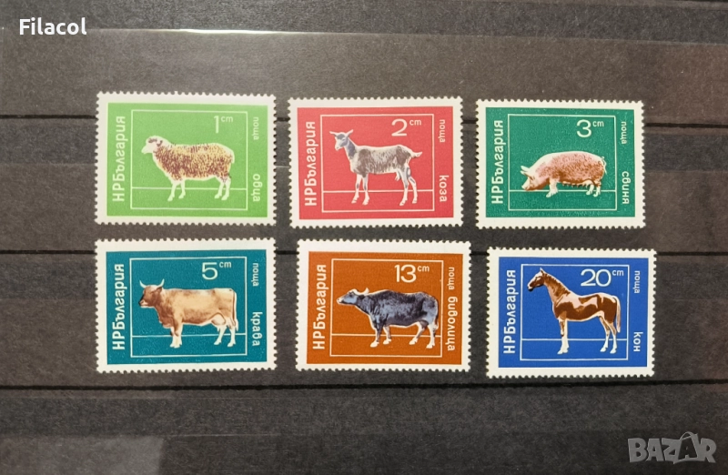 България  1974 г. Домашни животни, снимка 1