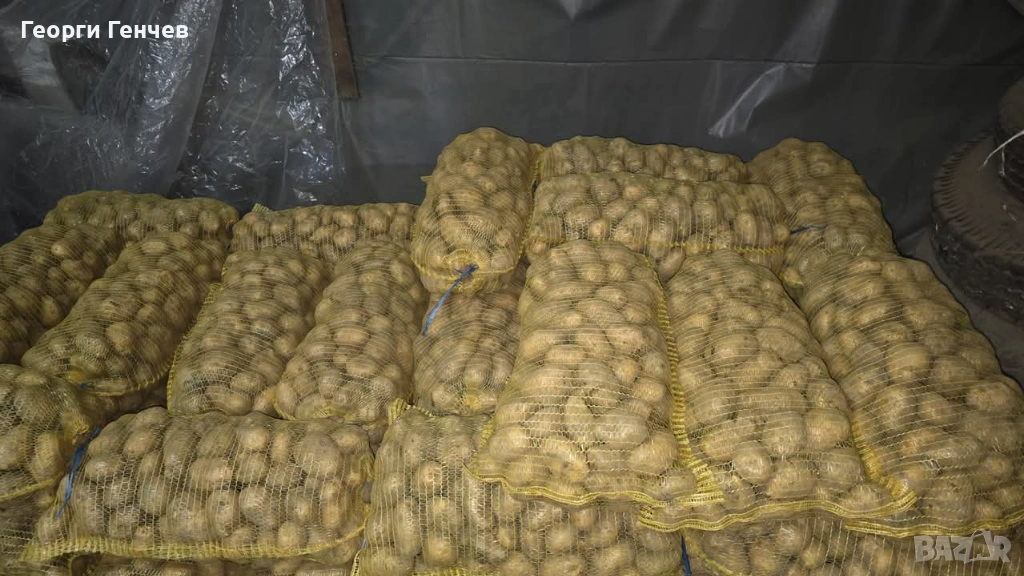 Продавам Картофи, сорт Сорая, снимка 1