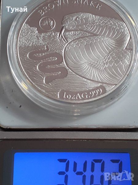 змия от австралия, снимка 1