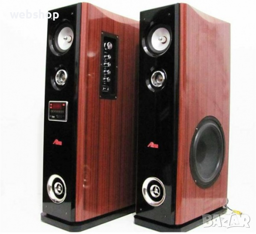 Караоке тонколони AN-018, 8", вграден усилвател, 2 безжични микрофона, ДУ, 2x80W, снимка 1