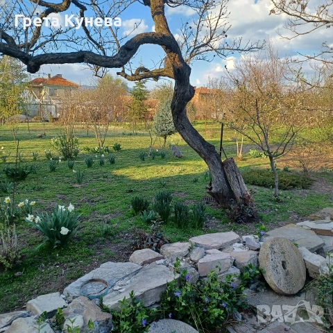 Къща с двор в Мечкарево, обл. Сливен, снимка 14 - Къщи - 53807889