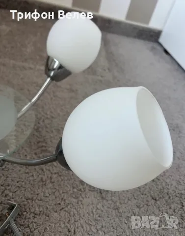 Продавам Полилей, снимка 5 - Полилеи - 49108511