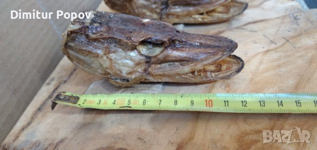 Глави от Щуки, снимка 2 - Други - 44431886