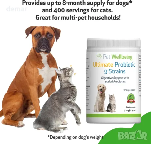 Pet Wellbeing Ultimate Probiotic 9 щама за кучета и котки - Здравословно храносмилане, 320 гр, прах, снимка 7 - За кучета - 48238100