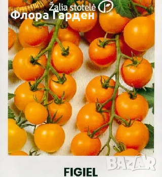 СЕМЕНА - Зеленчуци, билки, подправки, снимка 10 - Сортови семена и луковици - 44792837