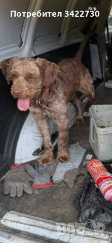 Лагото ромоньоло , снимка 6 - Други - 53969260