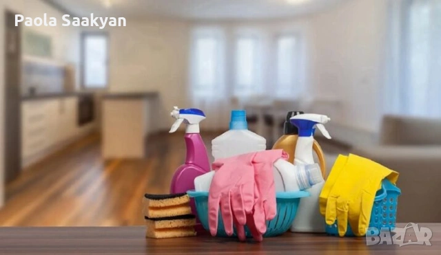ПРОФЕСИОНАЛНО ПОЧИСТВАНЕ НА ДОМОВЕ И ОФИСИ