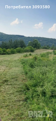 почистване на захрастени терени и пасища с мулчер , снимка 3 - Други услуги - 50996689