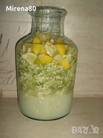 Сироп от бял бъз от Троянския балкан !, снимка 3 - Домашни напитки - 50243656