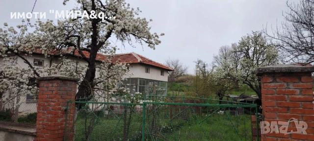 Едноетажна къща с парцел в село Динево, обл.Хасково, снимка 2 - Къщи - 54224668