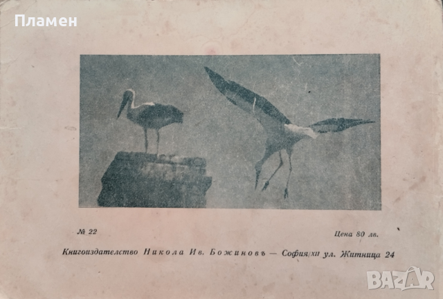 Отъ зайчето до щъркела Ценко Цветановъ, снимка 5 - Антикварни и старинни предмети - 44744826