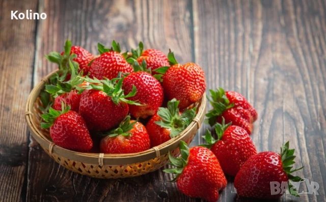 Сироп от ягоди 0,5л концентрат, снимка 4 - Домашни продукти - 50812263