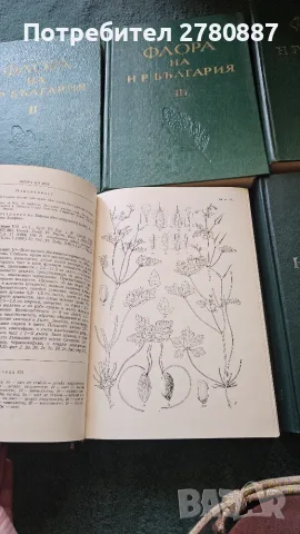 Флора на Народна република България. Том 1-9 книги медицина и биология, отлично състояние , снимка 4 - Специализирана литература - 55785656