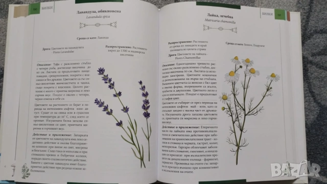 Фермата - Алманах. Природните богатства на България, снимка 2 - Енциклопедии, справочници - 53937325