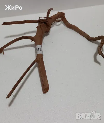 Корен от Азалия /декорация/ 45