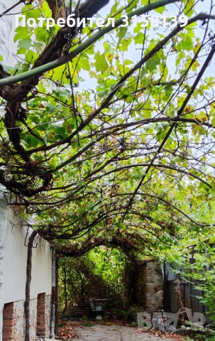 Къща в Брацигово от собственик, снимка 4 - Къщи - 42662743