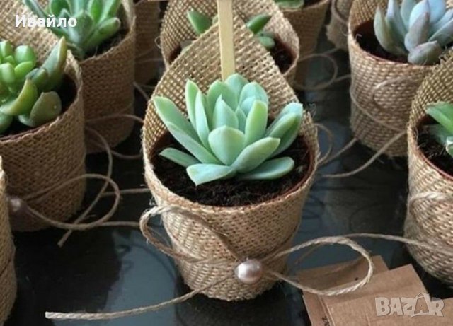 Подаръци за гости, снимка 14 - Подаръци за кръщене - 30461234