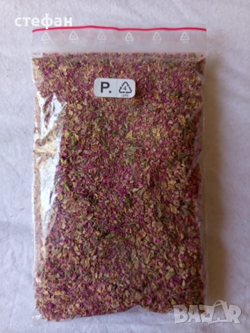 Продавам Сладък пелин-сух и разсад -лечение на простата,сух розов цвят, снимка 6 - Градински цветя и растения - 34710981