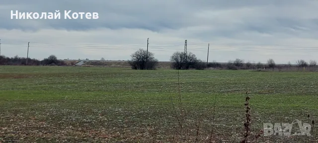 Урегулиран ПИ 15 дка., гр. Видин, до магистрала, снимка 5 - Парцели - 49707543