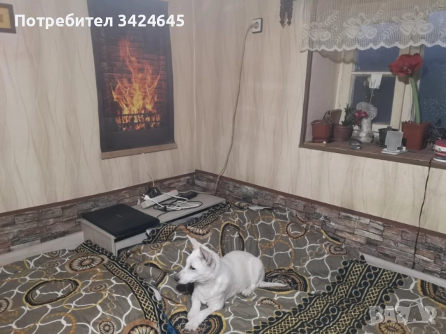 Продавам къща близо до Хасково. ДОГОВОРЕНА!, снимка 7 - Къщи - 52973030