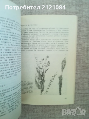  Използване на растенията за борба с неприятелите в селското стопанство, снимка 5 - Специализирана литература - 51787996