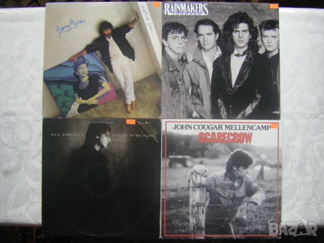 Редки западни грамофонни плочи, повечето от тях са американски издания, снимка 3 - Грамофонни плочи - 36025139