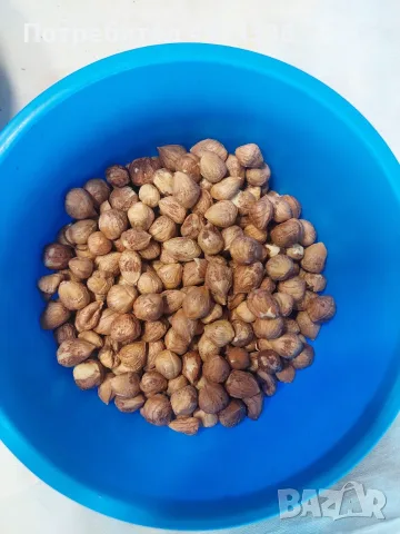Продавам лешници, снимка 2 - Домашни продукти - 56437569