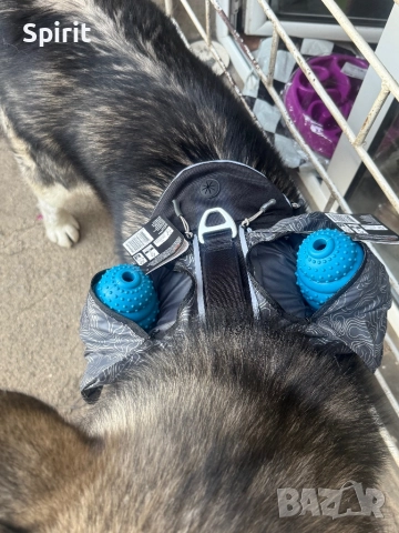 Navaris camping нагръдник за големи породи кучета , снимка 6 - За кучета - 47808590