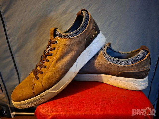 Salamander-original-номер46