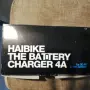 Зарядно за велоспед Haibike Flyon XDuro NDuro E-Bike 50,4V 4A, снимка 1